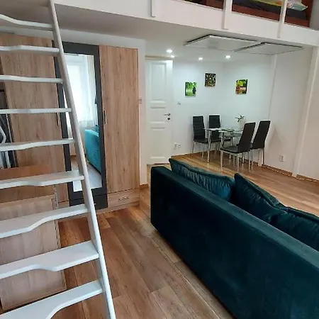 Bacso Bela Utca 8. Apartment *